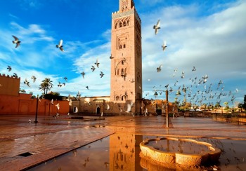 أجمل أيام في المغرب 
