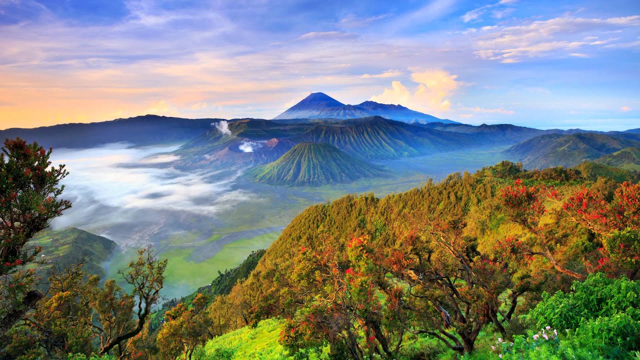 دليلك السياحي إلى إندونيسيا