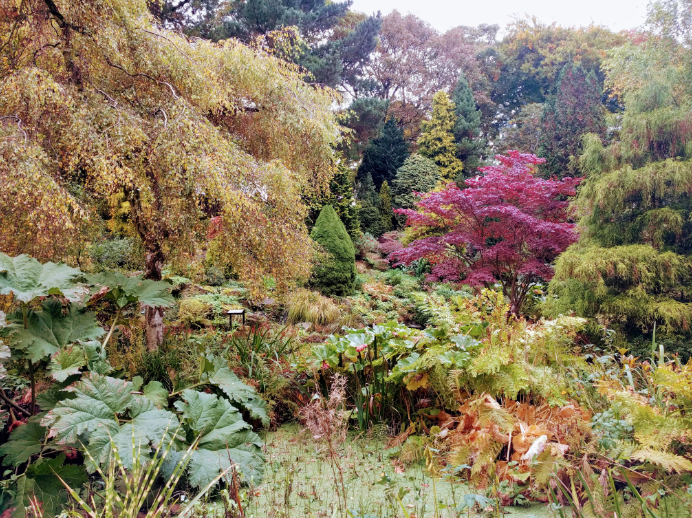 بريطانيا مانشيستر اهم الاماكن السياحيه حديقة فليتشر موس النباتية 